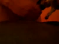 Little Puppy Deepthroat